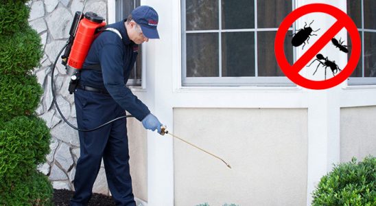 Karamanlı Fare İlaçlama böcek ilaçlama ve haşere kontrolü — ilaclama-tr.com